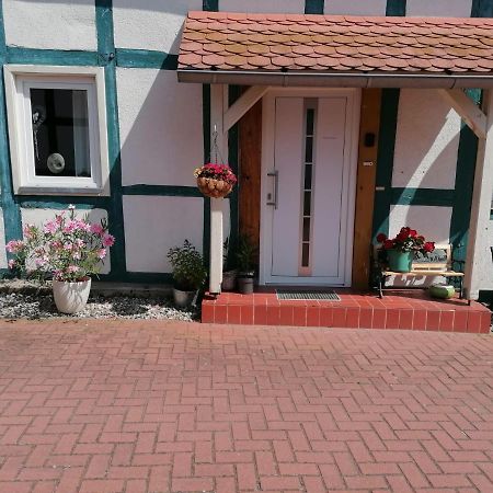 Ferienwohnung,Haus Elisa 2 施滕达尔 外观 照片